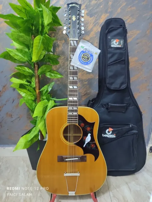 5 Guitares 12 cordes à vendre.