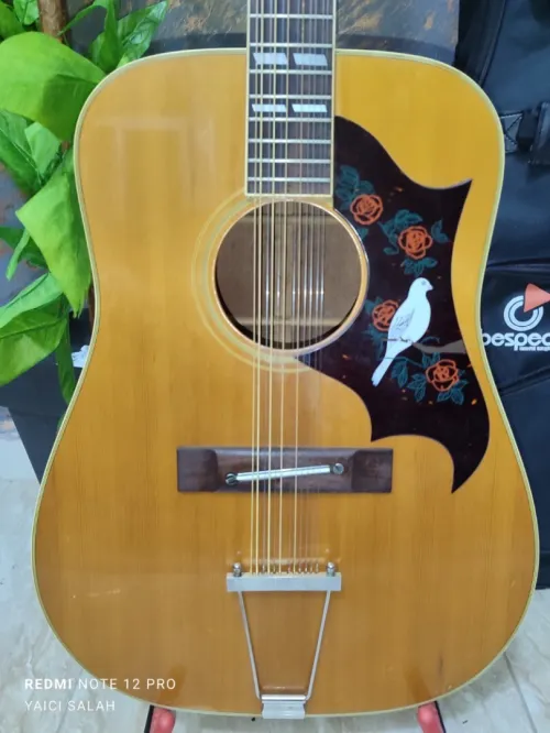 5 Guitares 12 cordes à vendre.