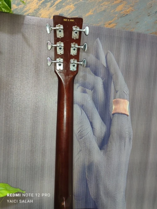 6-Belles guitares acoustiques