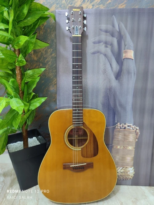 6-Belles guitares acoustiques