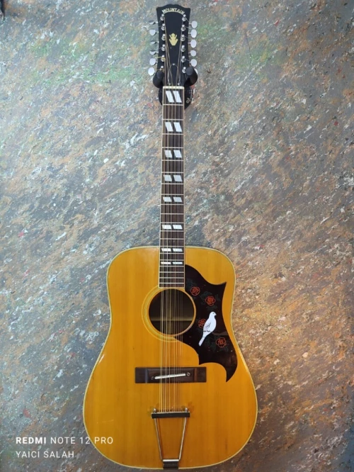 5 Guitares 12 cordes à vendre.