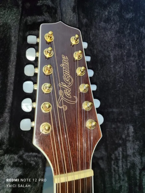 5 Guitares 12 cordes à vendre.
