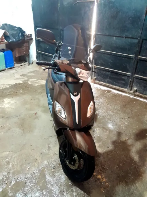 Vms Joci 2024