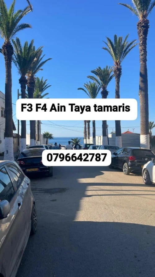 Vente Appartement F3 F4 Alger Ain taya