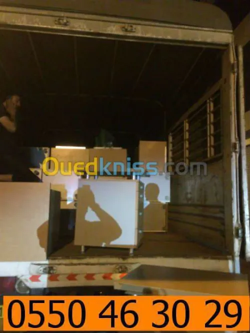 DEMENAGEMENT PARTICULIER ENTREPRISES 1