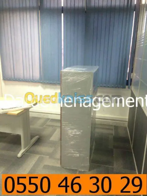 DEMENAGEMENT PARTICULIER ENTREPRISES 1
