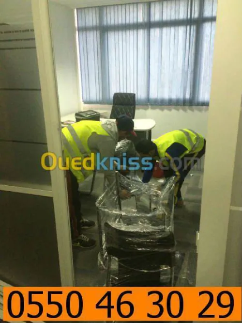 DEMENAGEMENT PARTICULIER ENTREPRISES 1