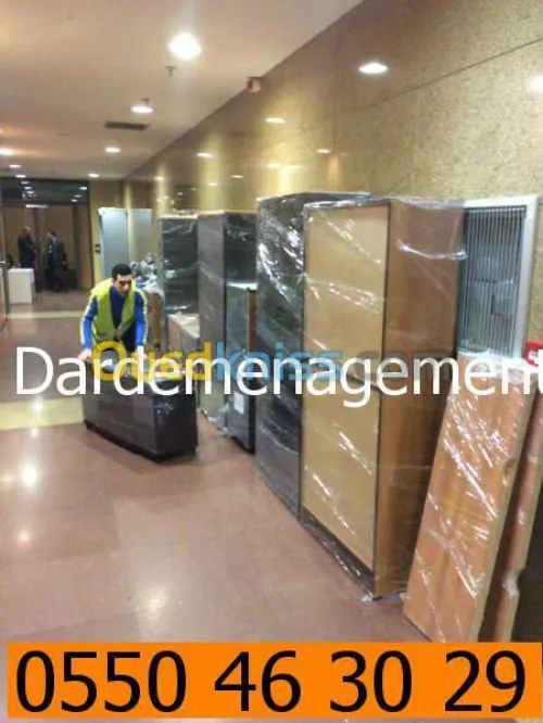 DEMENAGEMENT PARTICULIER ENTREPRISES 1