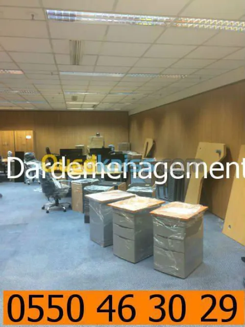 DEMENAGEMENT PARTICULIER ENTREPRISES 1