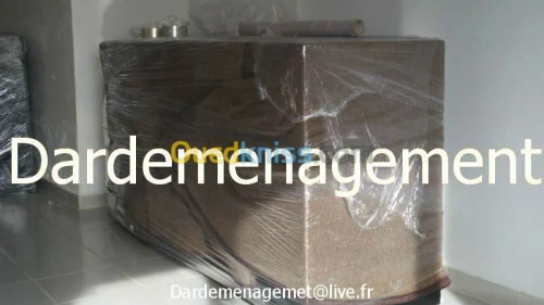 DEMENAGEMENT PARTICULIER ENTREPRISES 1