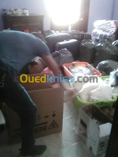 SERVICE DE DEMENAGEMENT/MANUTENTION