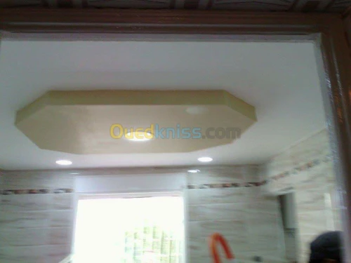 pose faux plafonds demontable et placo