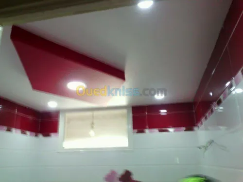 pose faux plafonds demontable et placo