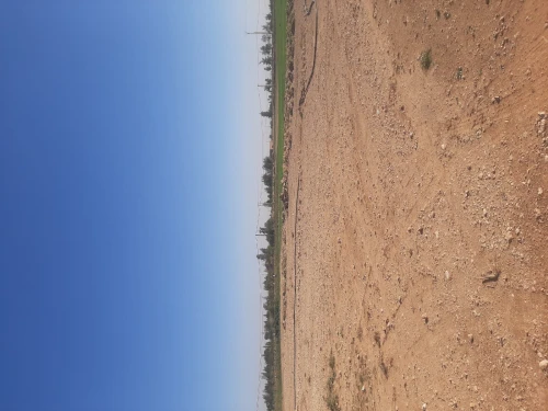Vente Terrain Agricole Naama Ain ben khelil
