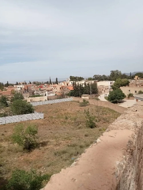 Vente Terrain Tlemcen Tlemcen