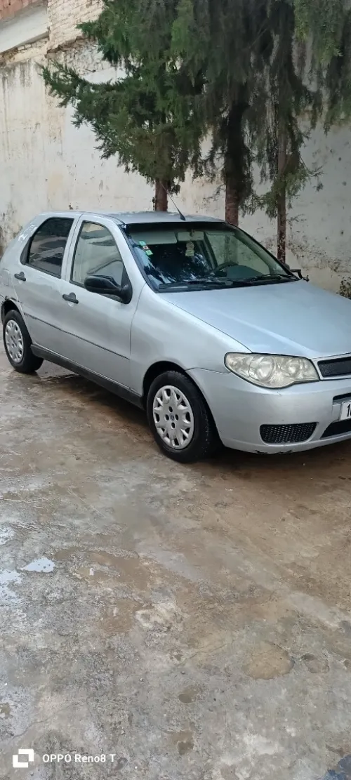 Fiat Palio 2007 Fire