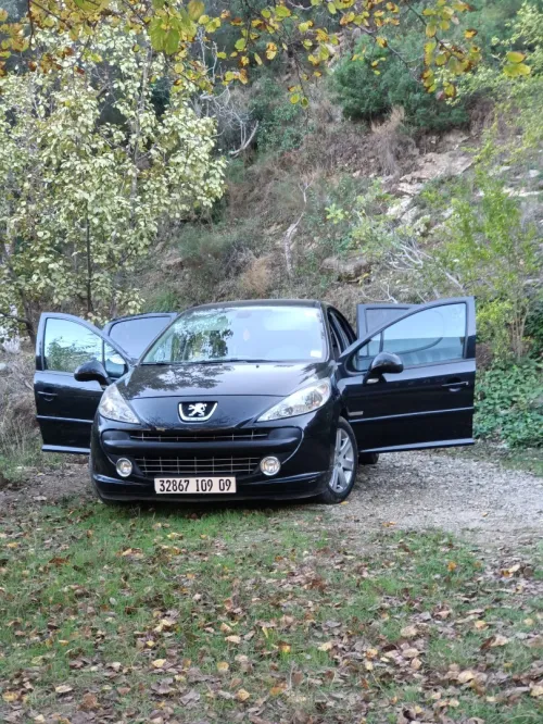 Peugeot 207 2009 Premium