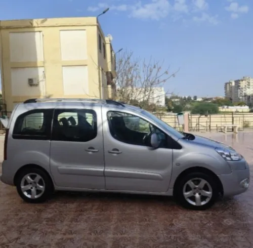 Peugeot Partner 2009 Tepee