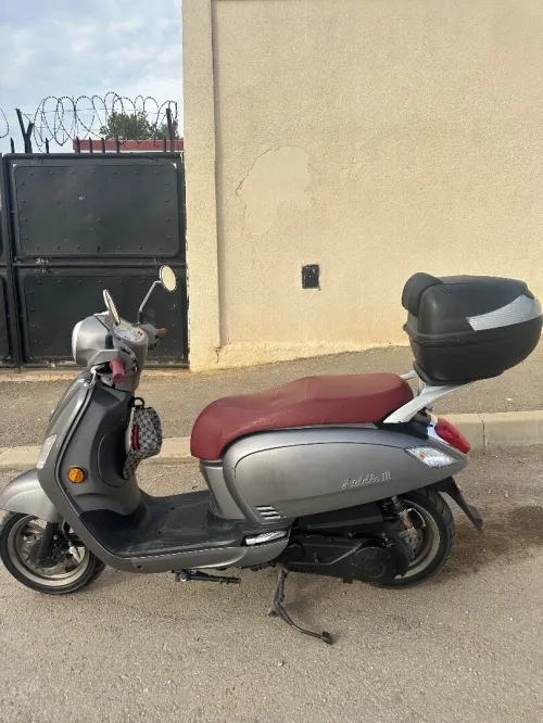 Sym Fiddle3 2022