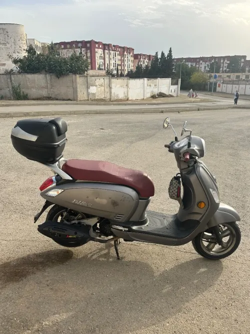 Sym Fiddle3 2022