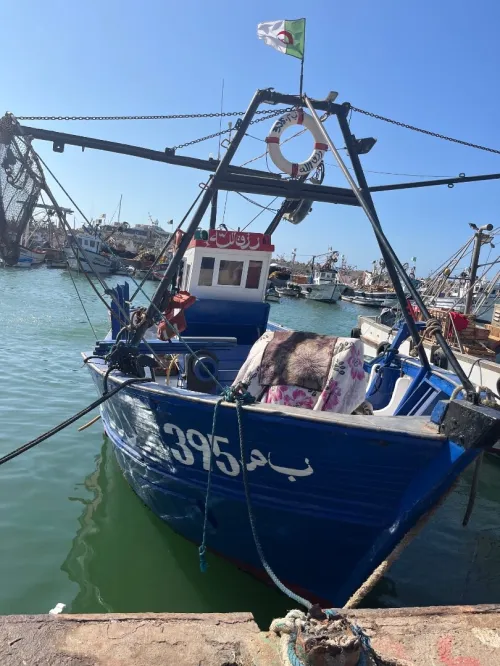 Sardinier 12 mètres volvo