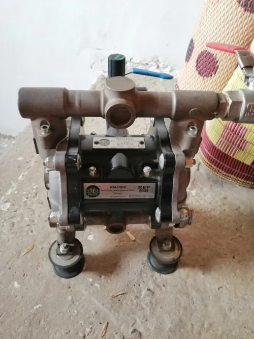 Pompe walther mbp 8034 