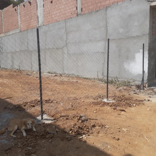 Vente Terrain Blida Chebli