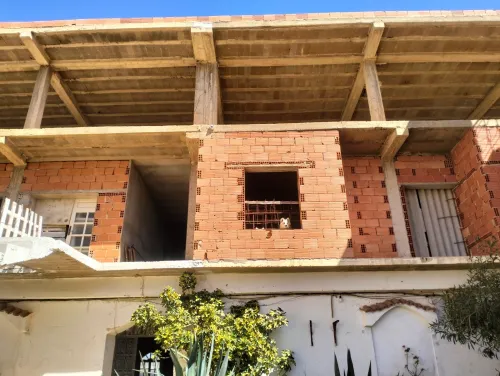 Vente Appartement Niveau de villa F10+ Oran Ain el turck