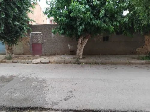 Vente Terrain Tiaret Sougueur