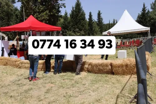 Location Chapiteaux 