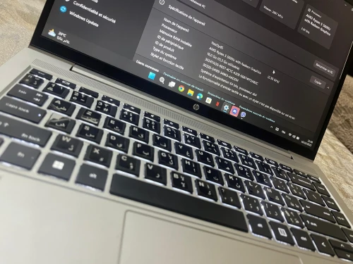 HP Probook 445 notebook PC