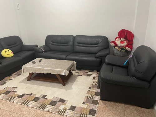 Salon en cuir