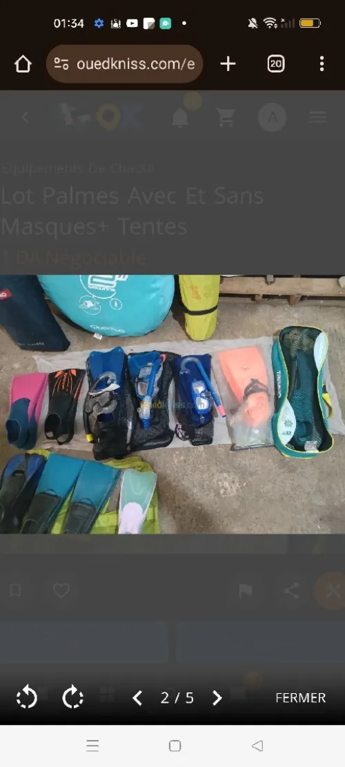 Lot palmes, masques et tentes 