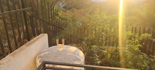 Vente Appartement F4 Alger Chevalley
