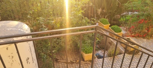 Vente Appartement F4 Alger Chevalley