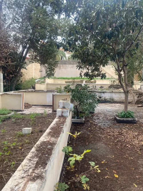 Vente Terrain Alger Chevalley