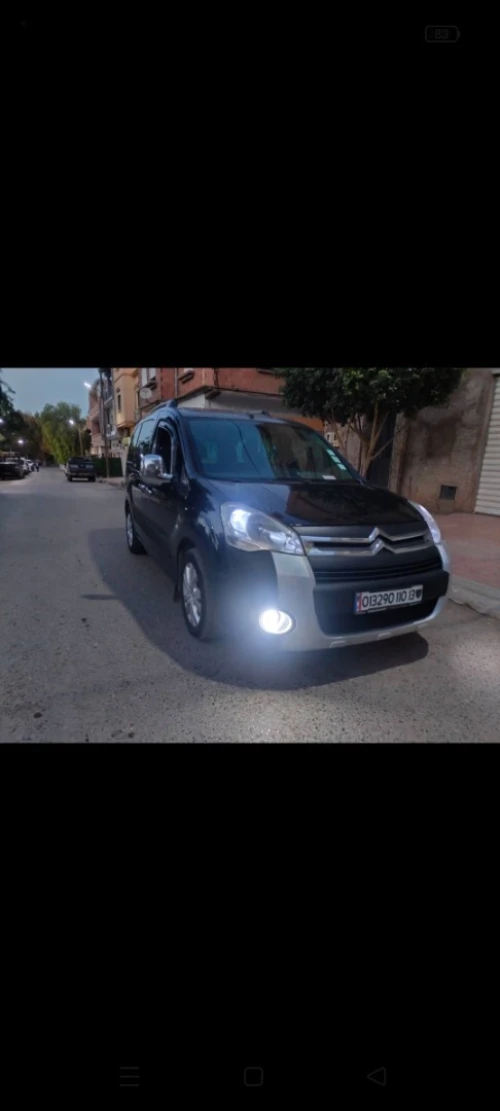 Citroen Berlingo 2010 Berlingo