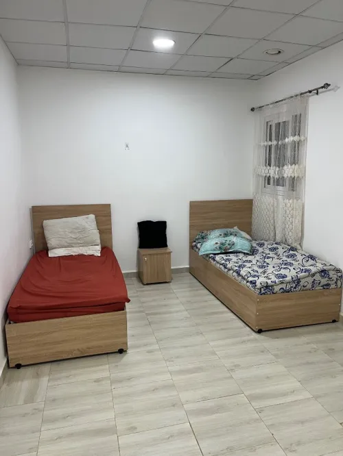 Location Appartement F3 Tlemcen Tlemcen