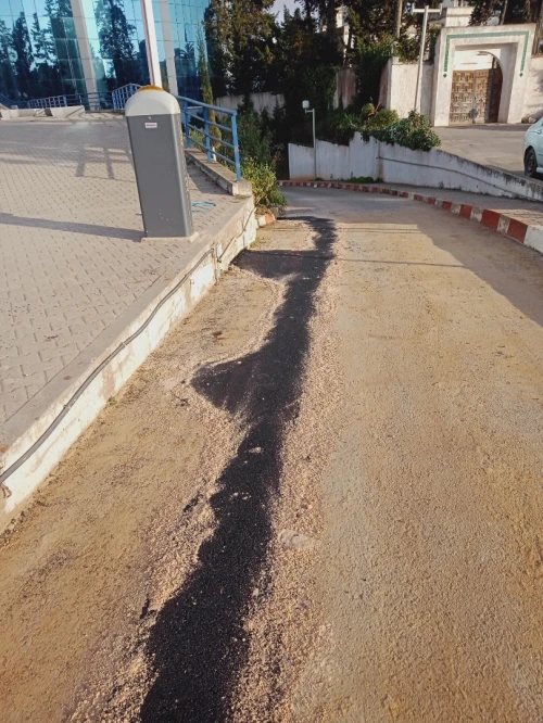 Travaux de godron Algérie 