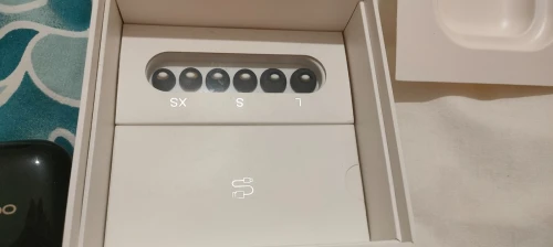 Oppo Enco W51