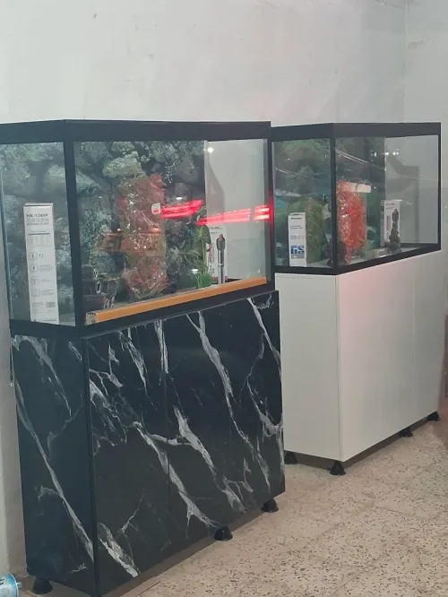 Aquarium avec meuble 1 mètre haute finition
