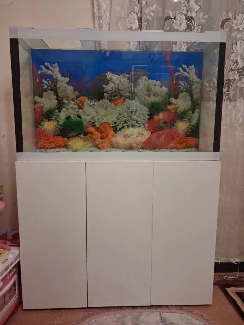 Aquarium avec meuble 1 mètre haute finition