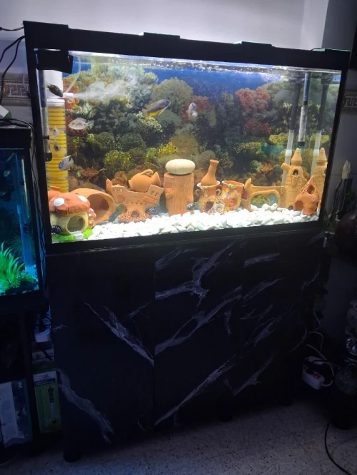 Aquarium avec meuble 1 mètre haute finition