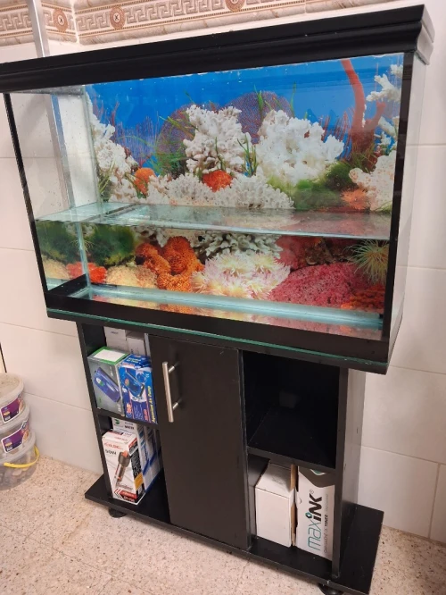 Aquarium 1m avec meuble