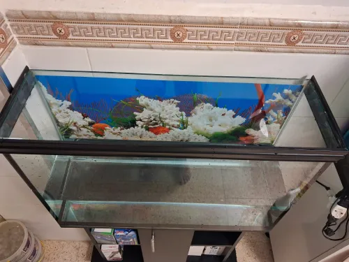 Aquarium avec meuble noir 80x55x25cm