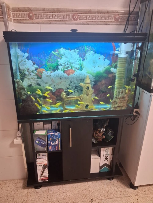 Aquarium 1m avec meuble