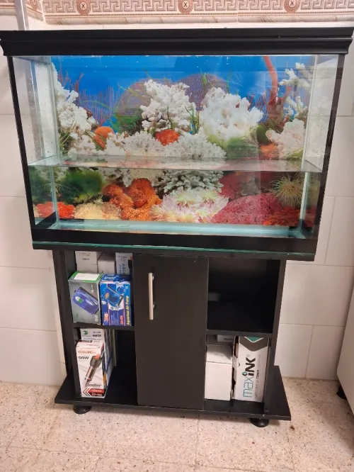 Aquarium avec meuble noir 80x55x25cm
