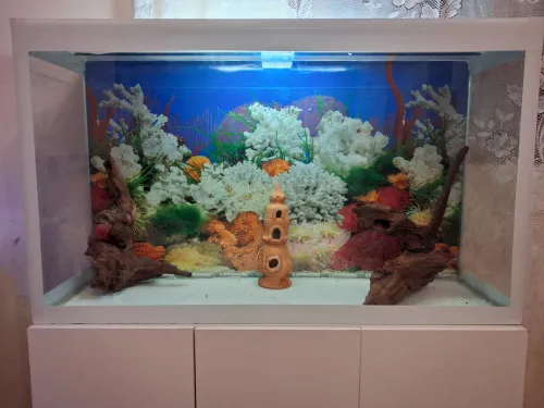 Aquarium avec meuble 1 mètre haute finition