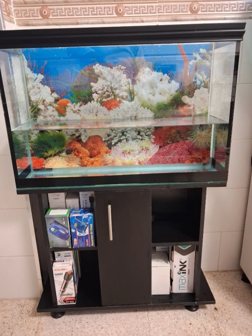 Aquarium 1m avec meuble