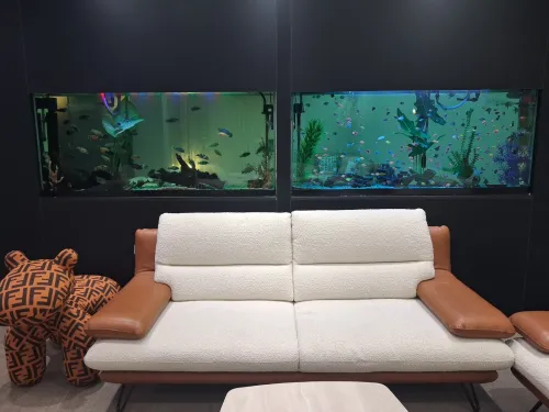 Conception d'aquariums, équipements, accessoires, poissons et entretien